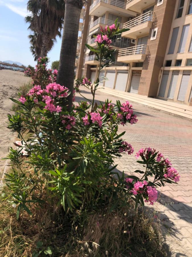 Vlore Apartment מראה חיצוני תמונה