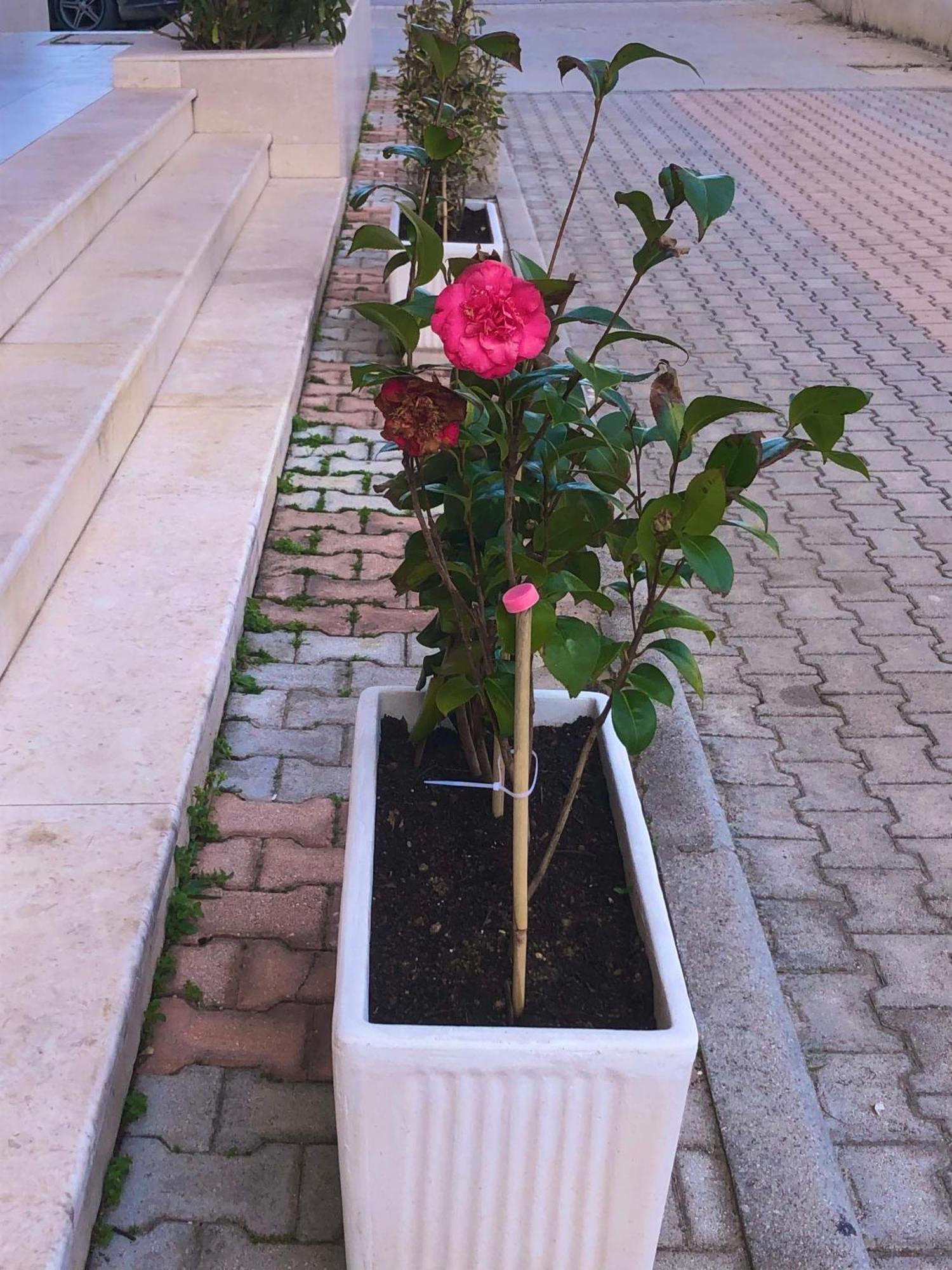 Vlore Apartment מראה חיצוני תמונה